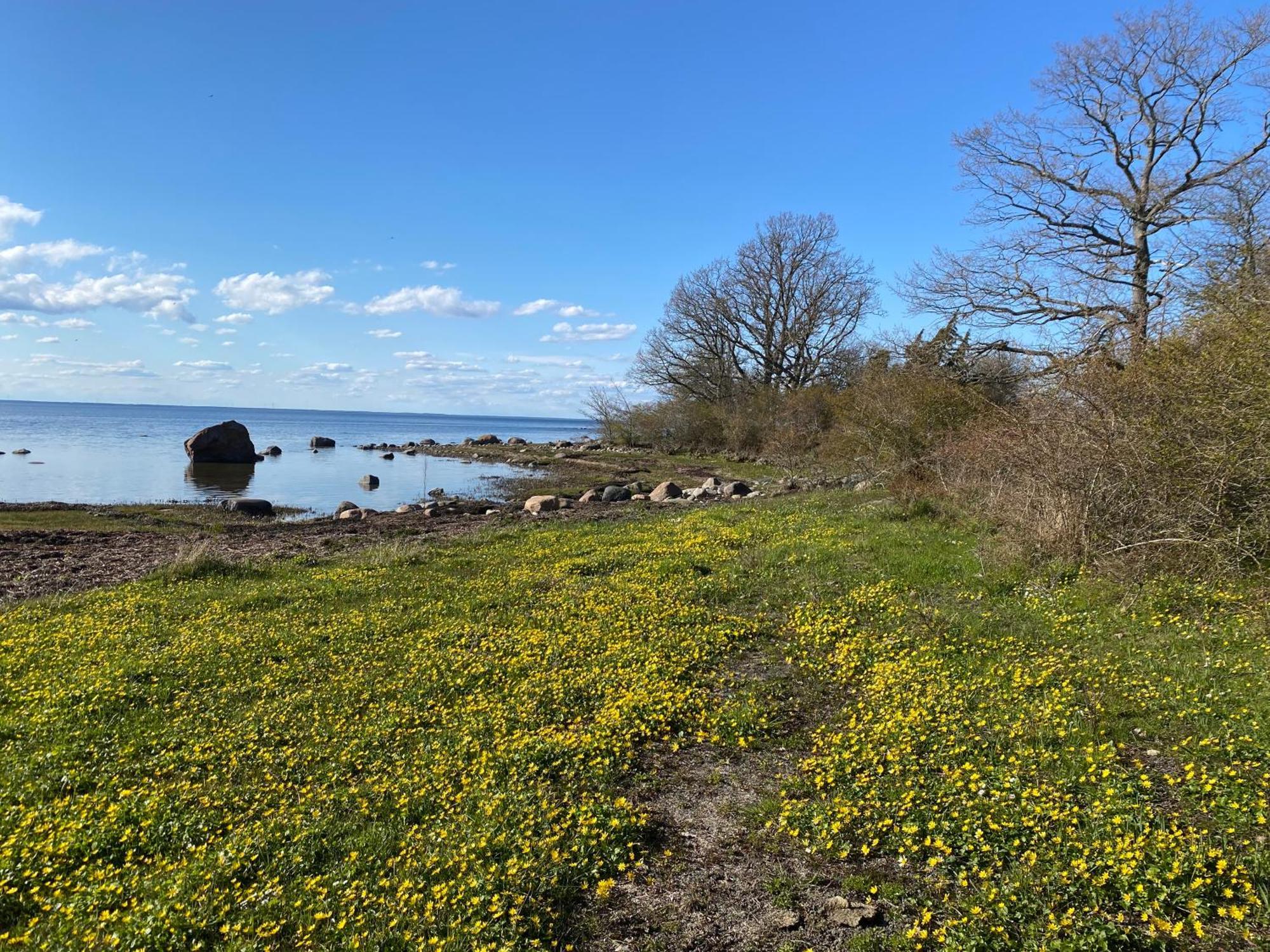 Gard Halltorps Hage Borgholm Exterior photo